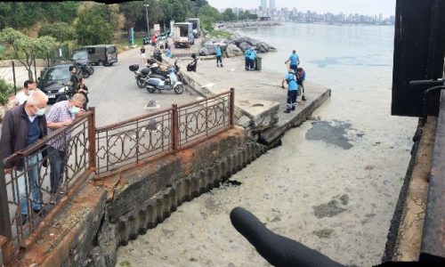 Deniz salyasına karşı bütünleşik bir ‘Su Kalitesi Yönetimi’ oluşturulmalı